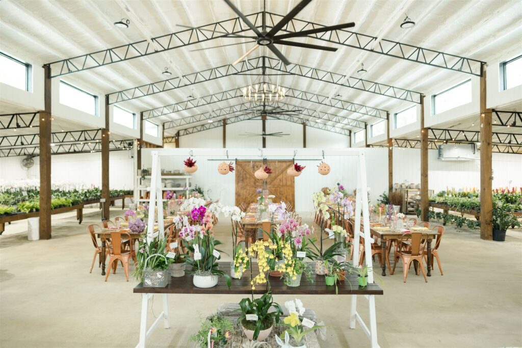 Wide shot of Blooming Freedom event space in Palm City showcasing high ceilings, natural light, and tropical-themed wedding table setup